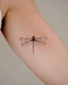 a small dragonfly tattoo on the arm