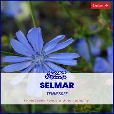 a blue flower with the words selimar tennessee on it's bottom corner