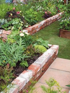 a garden filled with lots of different types of flowers and plants next to each other