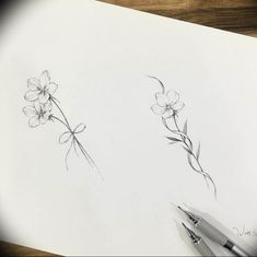 a pencil drawing of some flowers on a piece of paper