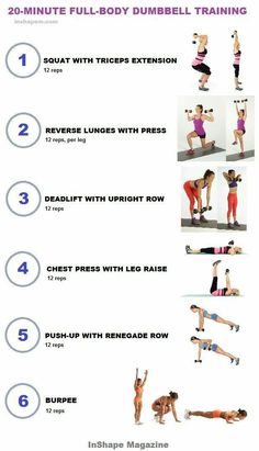 Db Workout, Body Weight Workout, Full Body Weight Workout, Dumbbell Workouts, Dumbell Workout, Muscle Abdominal, Yoga Body, Weight Workout, Circuit Workout