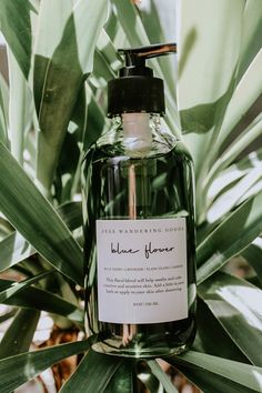 🎉 Get 15% off with code - RACHAELTAM || Check out Pretty Farm Girl's amazing natural skincare products! They make body care, face care, and much more! Head over and check them out. Jasmine Oil, Blue Tansy, Home Spray, Flower Bath, Skin Tissue, Acne Spots, Oil Moisturizer, Moisturizer For Dry Skin, Flower Oil