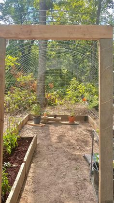 an outdoor garden area with various plants and trees