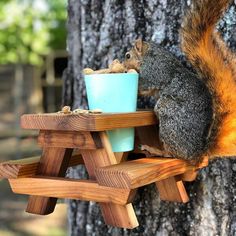 a squirrel is eating food from a blue bowl on a wooden stand next to a tree