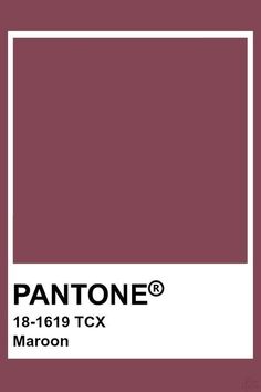 pantone's purple hue is shown in the color, amethystt