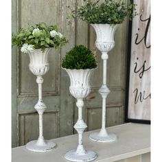 three white vases with green plants in them