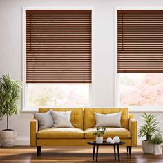 a living room filled with furniture and two windows covered in shades of brown blind blinds