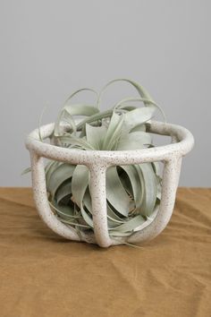 a white bowl filled with green plants on top of a table