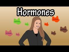 Types Of Hormones, Work Questions, Real People, Talk About, 404 Not Found, Memes