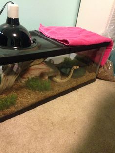 a fish tank filled with rocks and water next to a pink towel on the floor