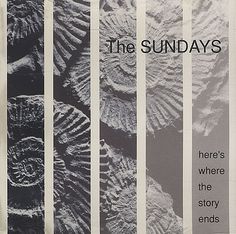 an advertisement for the sundays featuring seashells in black and white stripes