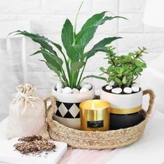 a basket filled with plants and candles on top of a white table next to a bag