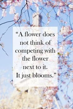 an image of flowers with a quote on the bottom and below that reads, flower does not think of competing with the flower next to it just blooms