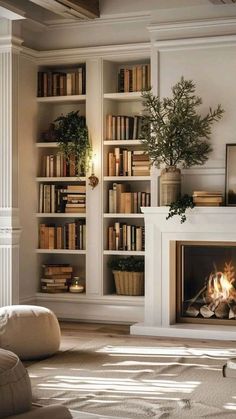 a living room filled with furniture and a fire place in the middle of a book case