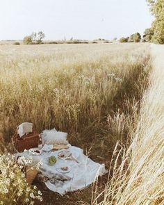 a picnic is set up in the middle of a field with tall grass and flowers