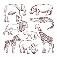 different kinds of animals hand drawn in black and white stock photo royaltyvectors