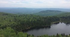 a lake surrounded by trees in the middle of a forest