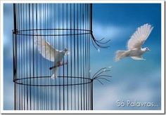 two white birds are flying in front of a birdcage with blue sky and clouds