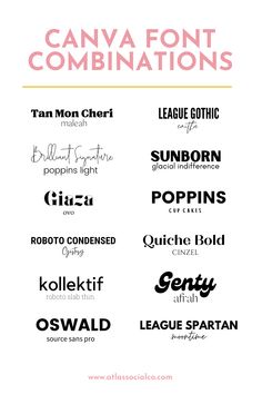 the font family for canva font combinations