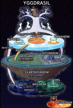 a diagram of the different types of animals in space, with their names on it