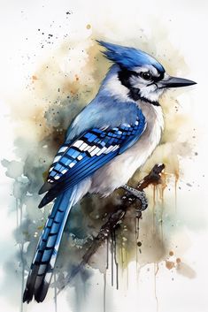 a painting of a blue jay perched on a branch with paint splatters all over it