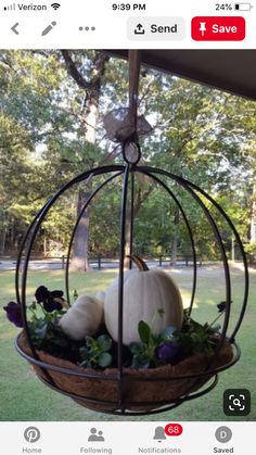 a birdcage filled with pumpkins and greenery sitting on top of a grass covered field