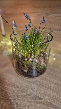 a glass vase filled with blue flowers sitting on top of a wooden table next to a candle