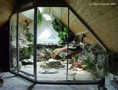 a room filled with lots of plants and rocks