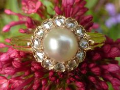 This 1900 ring is in yellow gold, set with a natural pearl and an entourage of 12 rose-cut diamonds (antique diamond cut). It was made around the year 1900, probably in France. The pearl is perfectly round and has remained very white, with no major wear. It is a genuine pearl. To find out if it is a fine or cultured pearl, it should be dismantled and sent to a specialized laboratory. The diamonds are very white and flawless. This ring is in very good condition. The entire setting has no flaws, the pearl has remained white despite its age. This ring will make a very beautiful engagement ring, elegant and delicate. It has the charm of the antiques and at the same time still current. Diameter of the pearl alone: 7.7 mm (3.04 in) Diameter of the pearl and its diamond entourage: 1 cm (0.48 in) Natural Pearl Ring, Antique Jewelry Rings, Rosecut Diamond Ring, Beautiful Engagement Rings, Natural Pearl, Antique Diamond, Rose Cut Diamond, Antique Jewellery, Gold Set