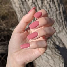 Pink Nails Pattern, Simply Pink Nails, Plain Color Nails Acrylic, Plain Dip Nails, One Colored Nails, Pink Nails Dip Powder, Pink Shades Nails, Pink Nails Solid, Rose Colored Nails