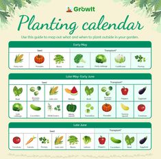 a poster showing the different types of plants