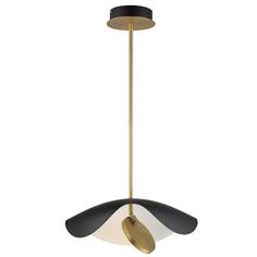 the black and gold pendant light fixture