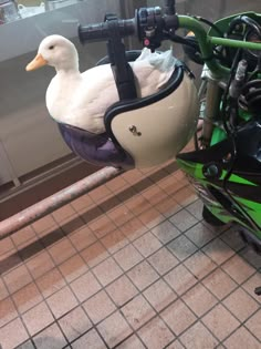 a white duck sitting on the seat of a green and black motorbike in a building