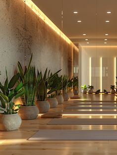 there are many potted plants on the floor next to each other in this room