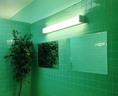 a green tiled bathroom with a potted plant in the corner and mirror on the wall