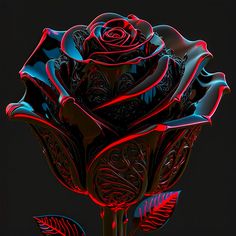 a close up of a red and black rose with leaves in the foreground, on a dark background