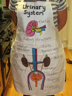 a person wearing an apron with the words urinary system on it