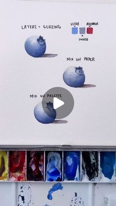 an artist's watercolor palette with blueberries and other paint colors in it