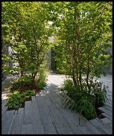 a wooden walkway surrounded by trees and plants on either side of the path that leads to an open door