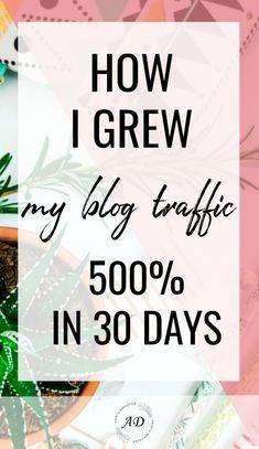 the words how i grew my blog traffic 500 % in 30 days on top of a potted plant