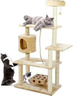 two cats are playing with the cat tree