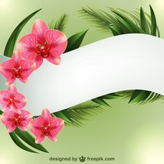 pink orchids with green leaves and a white banner on a green background for your text