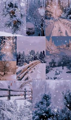 a collage of photos with snow and trees