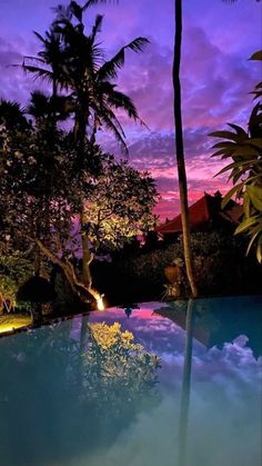 an empty swimming pool at dusk with palm trees in the foreground and purple sky