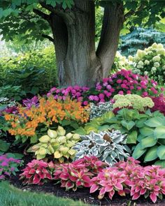 colorful flowers and trees in a garden