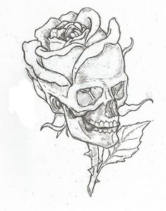 a drawing of a skull with a rose on it