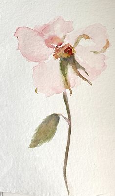 Wild Rose Watercolor, Pink Watercolor Aesthetic, Easy Waterpaintings, Water Colour Painting Ideas, Flower Water Color Painting, Watercolor Art Inspiration, Art Ideas Watercolor, Aesthetic Watercolor Art, Watercolour Aesthetic