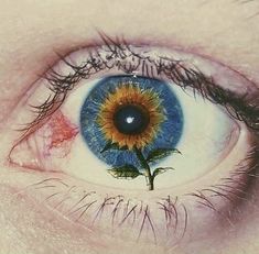 an eye with a flower in the iris