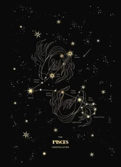 the stars in the night sky are labeled with zodiac signs and their corresponding constellations