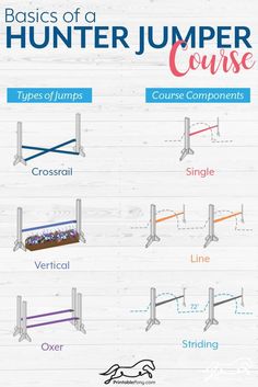 the basics of a hunter jumper course for horses and their riders, with instructions on how to